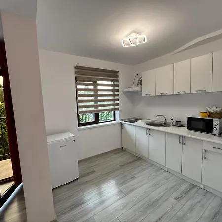 アパートホテル Omega Style コンスタンツァ